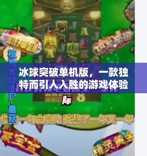 冰球突破单机版,一款独特而引人入胜的游戏体验,冰球突破单机版 冰球突破单机版,一款独特而引人入胜的游戏体验,冰球突破单机版