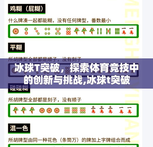 冰球T突破，探索体育竞技中的创新与挑战,冰球t突破