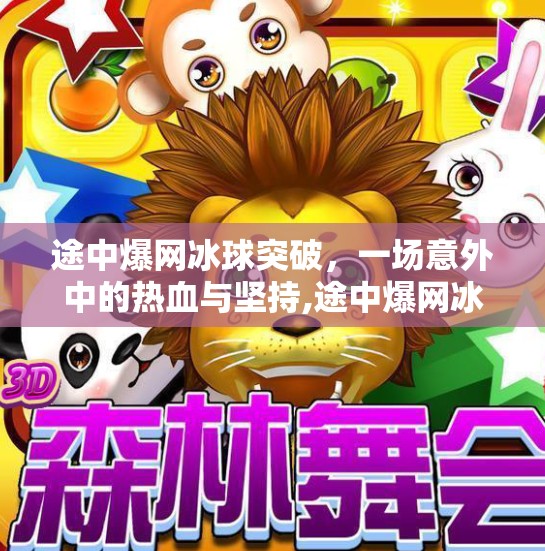 途中爆网冰球突破，一场意外中的热血与坚持,途中爆网冰球突破
