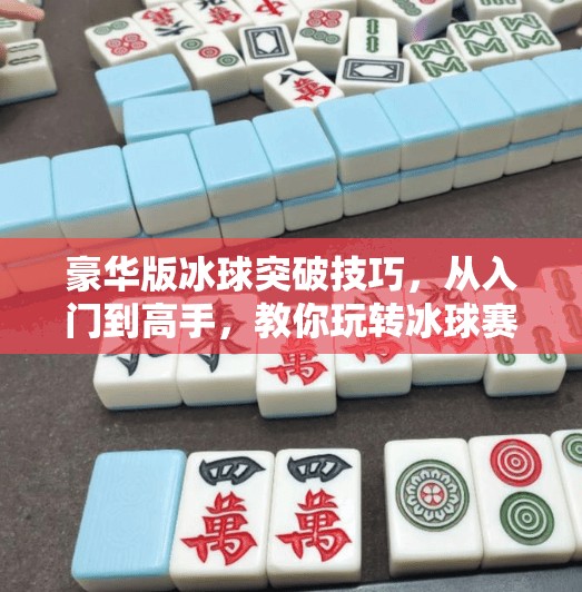 豪华版冰球突破技巧，从入门到高手，教你玩转冰球赛场的制胜密码,豪华版冰球突破技巧
