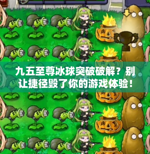 九五至尊冰球突破破解？别让捷径毁了你的游戏体验！九五至尊冰球突破破解